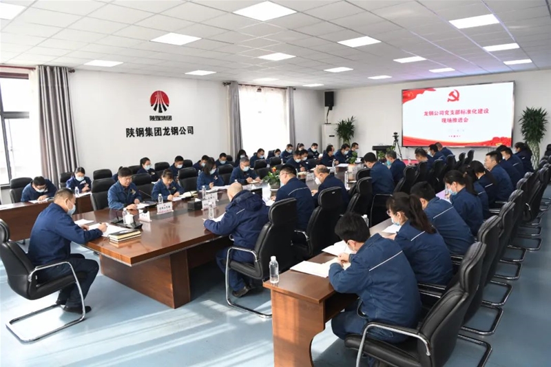 公司召开党支部规范化扶植现场推动会